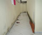 CORREDOR