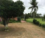 QUINTAL